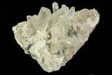 Quartz Crystals with Black Tourmaline (Schorl) - Namibia #69188-2